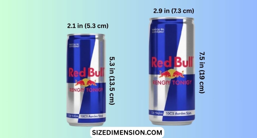 Red Bull Can Dimensions: Size & Height (2026)