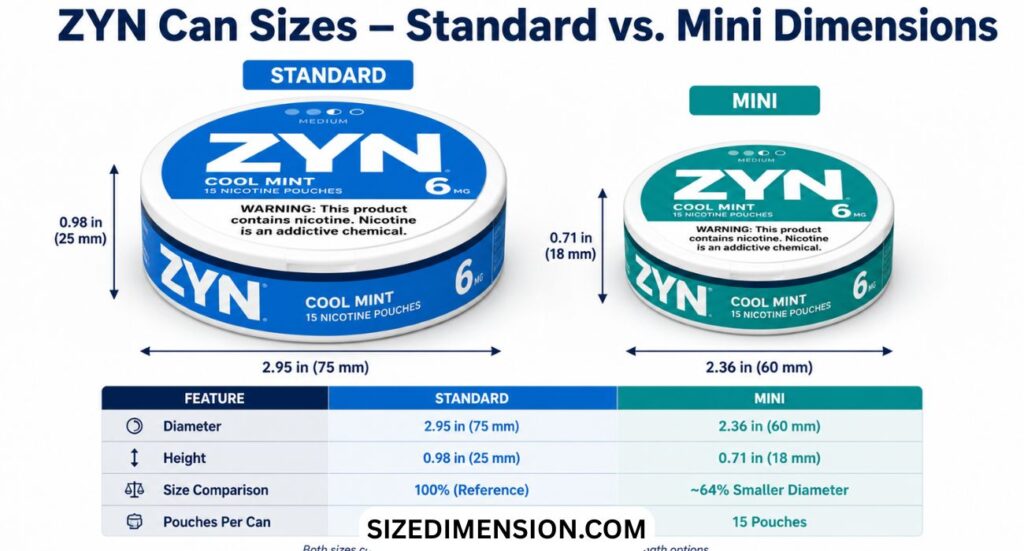 ZYN Can Dimensions: Standard Sizes, (2026)